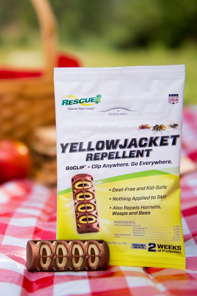 How to keep yellowjackets away from your picnic